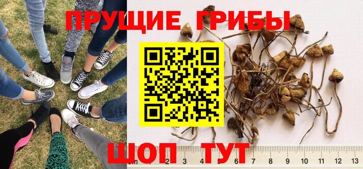 Галлюциногенные грибы Magic Shrooms Белгород