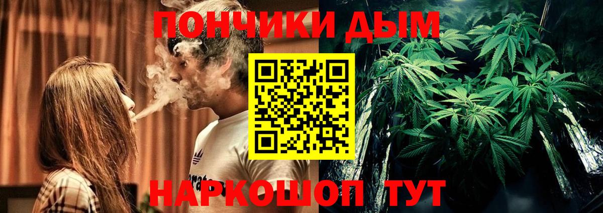 Каннабис план  Шишки марихуана Ganja  Бошки марихуана индика  Белгород  Вход с VPN 